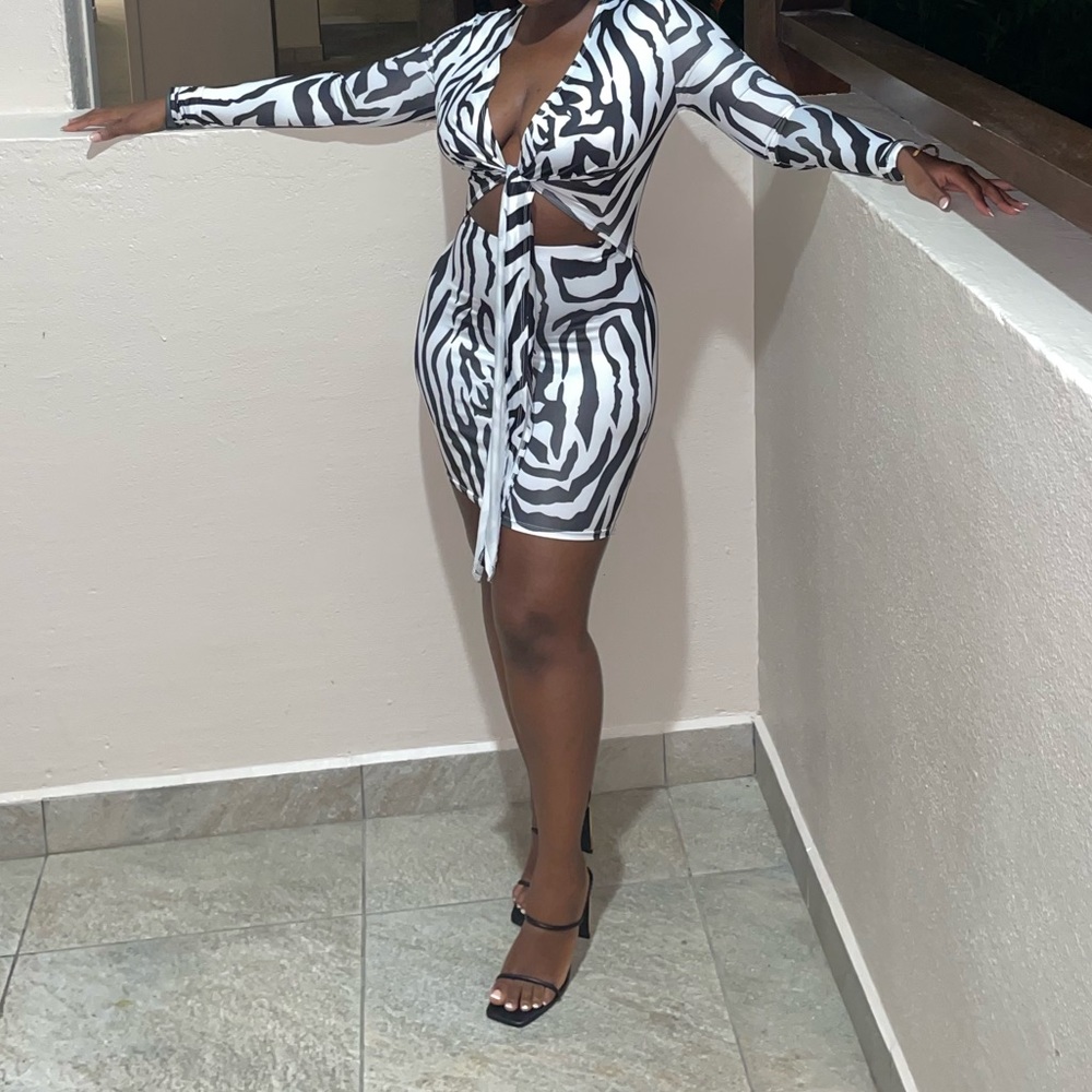 Zebra Print Plunging Neck Knot front body on Dress